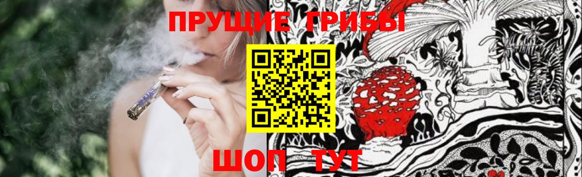 Галлюциногенные грибы Psilocybine cubensis Люберцы