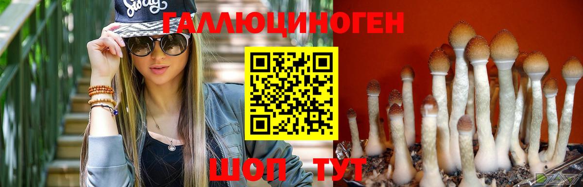 Галлюциногенные грибы прущие грибы  Вход с VPN  Люберцы  Псилоцибиновые грибы Magic Shrooms 